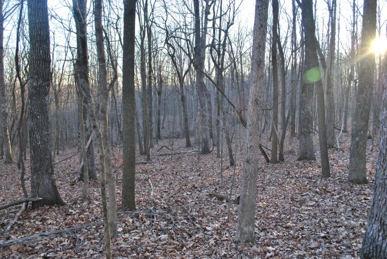 DSC_9486.jpg