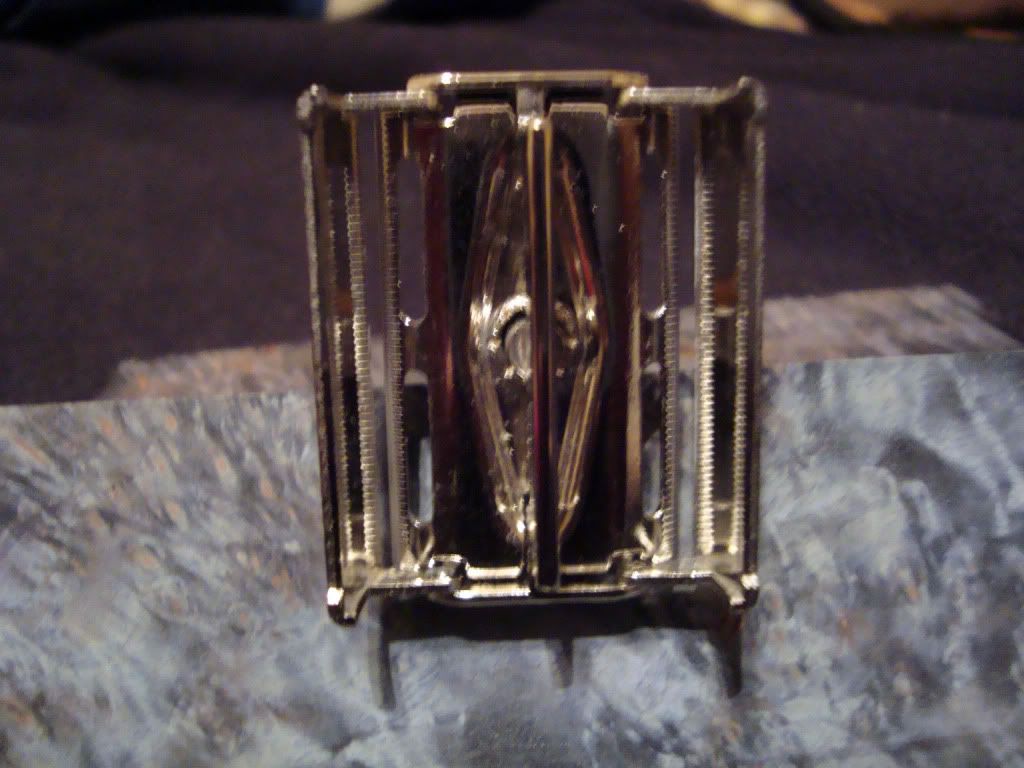 DSC01913.jpg