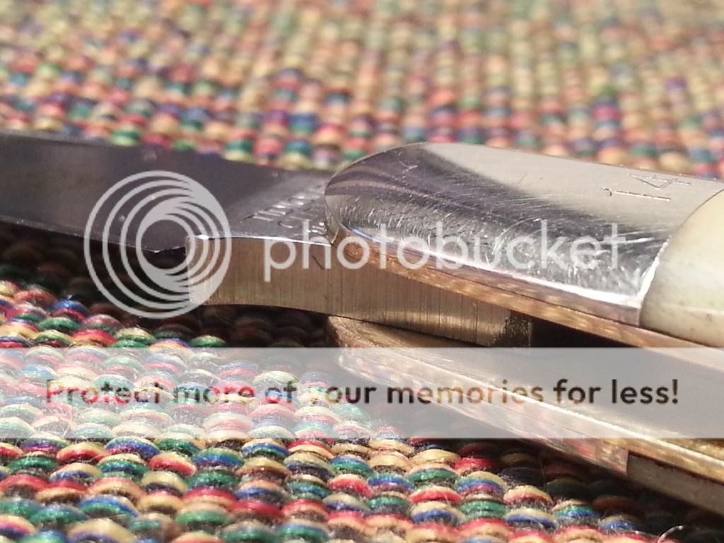 20130103_201858_zps4e45cf8d.jpg