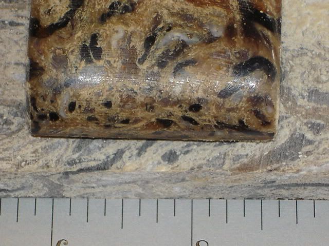 DSC02327.jpg