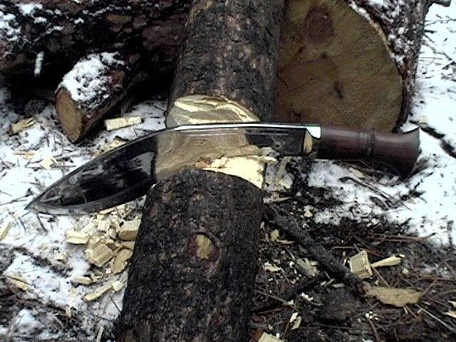 3Tarwar2logs014.jpg