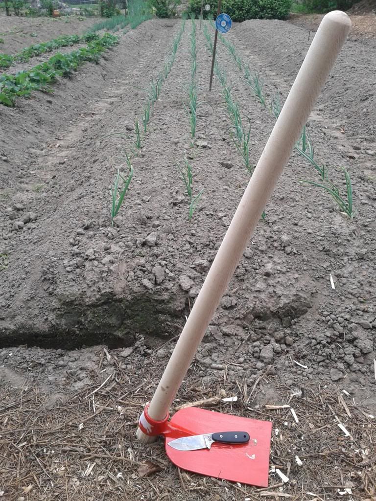 20140421_151743.jpg