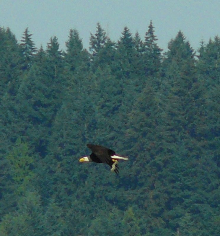 07-09-2012124.jpg
