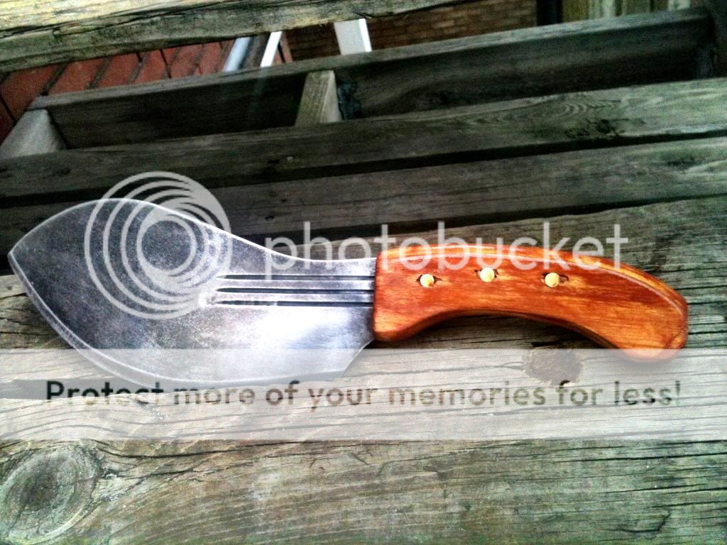 photo3_zps2a33ca40.jpg