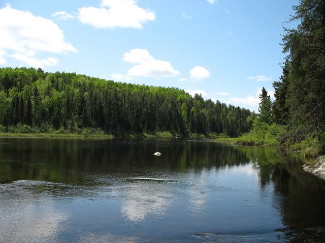 Picture216.jpg