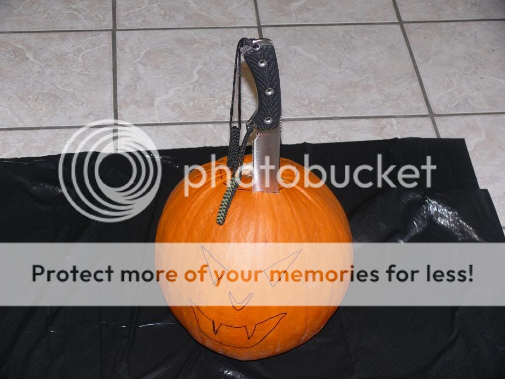 Pumpkin2.jpg