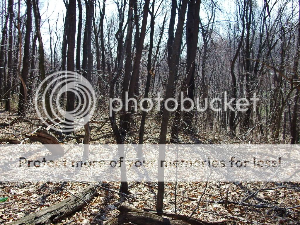 PICT0629.jpg