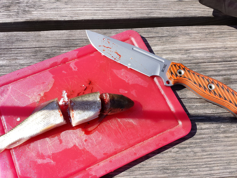 Busse_SwatManDu_Fishing_001.jpg