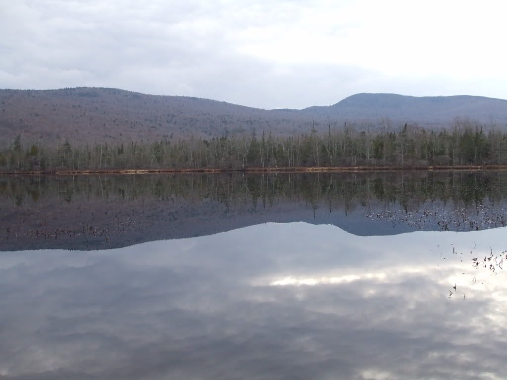 DSCF1746.jpg