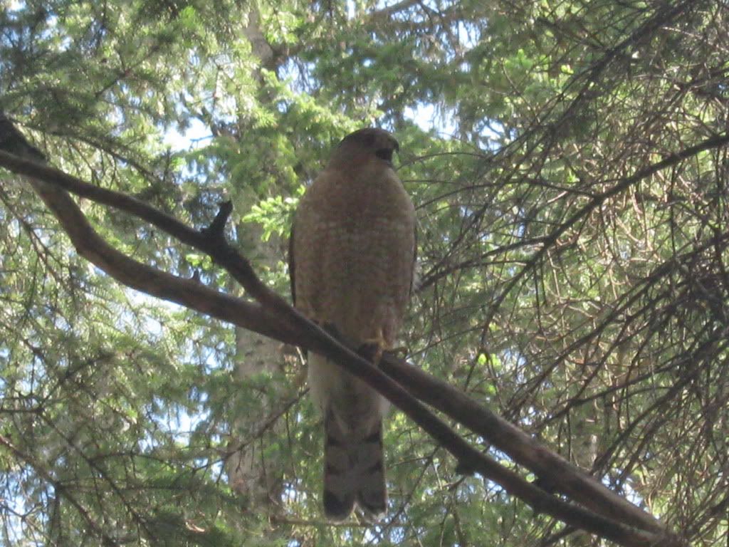 IMG_7887.jpg