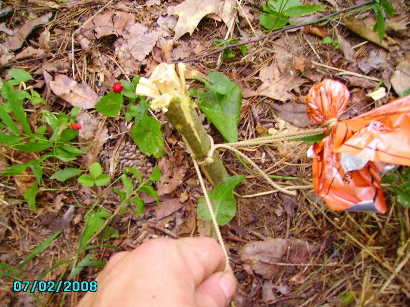 PICT0749.jpg