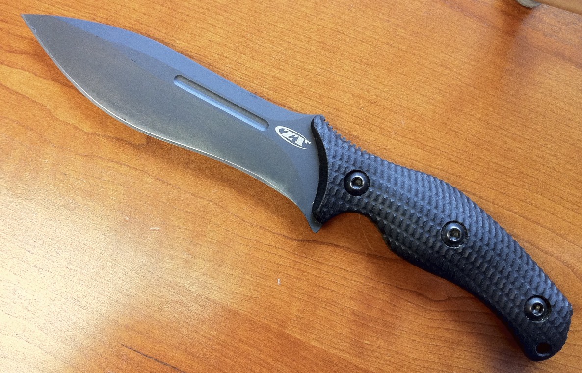 ZT0100-a.jpg