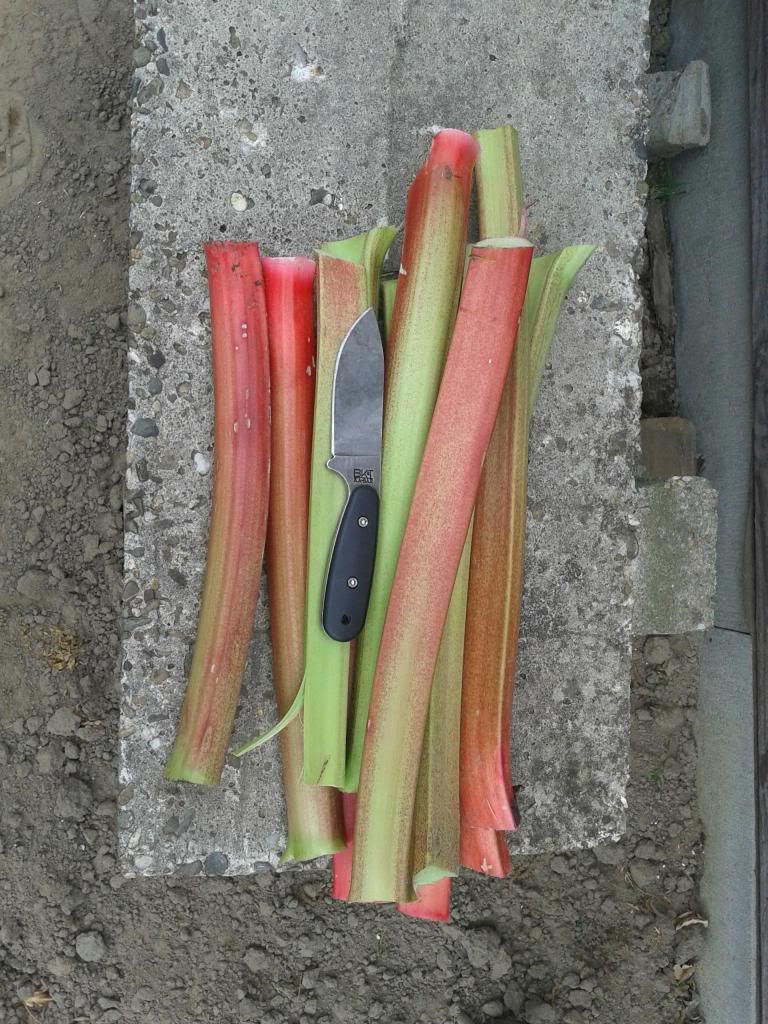 20140421_152626.jpg