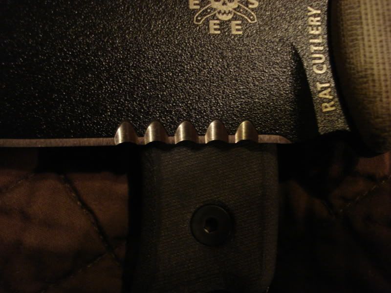 20090313_306.jpg