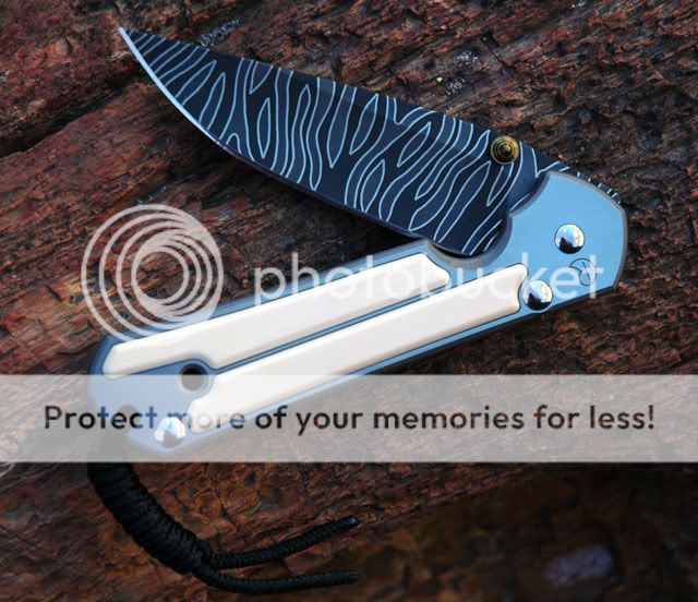 lg_sebenza_classic_zebradamascus_ivory_640.jpg