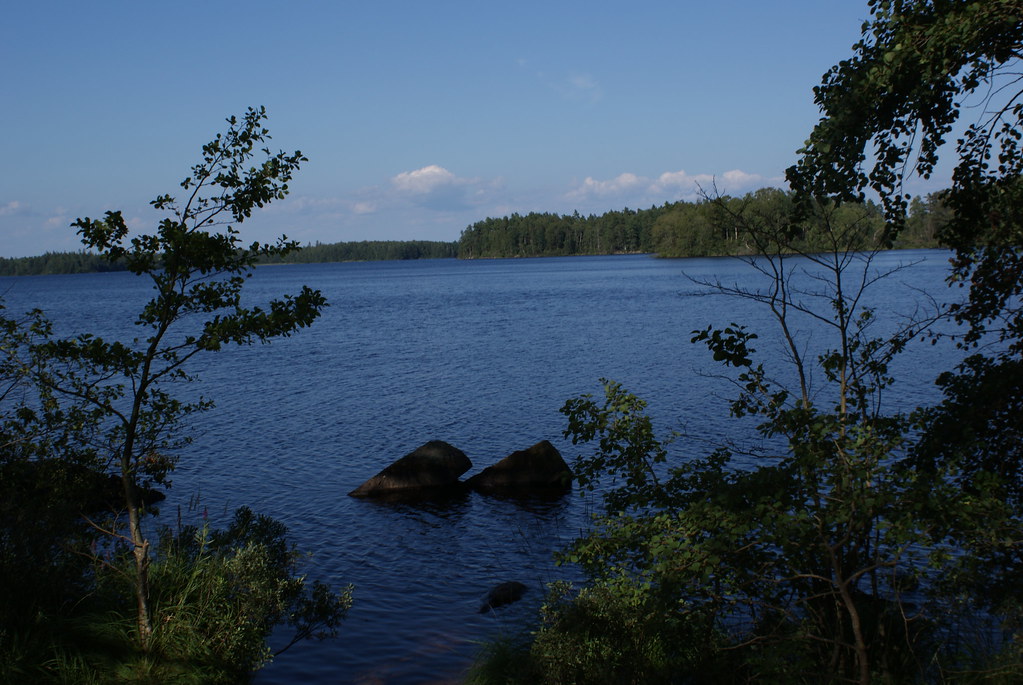 4039600401_4f7e641af8_b.jpg