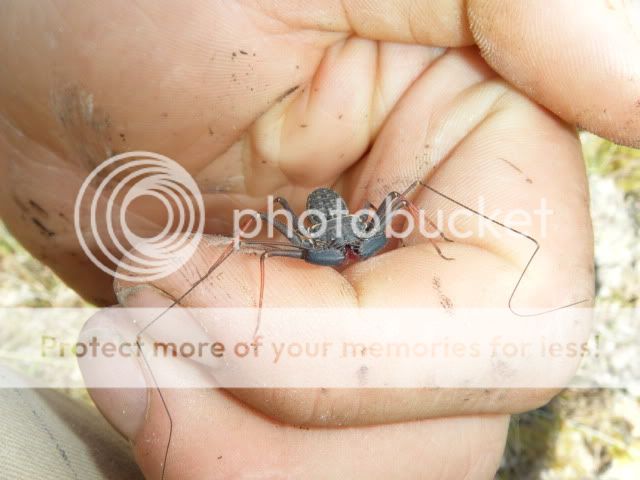 DSCF1952.jpg
