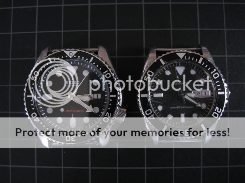 scaledIMG_0037.jpg