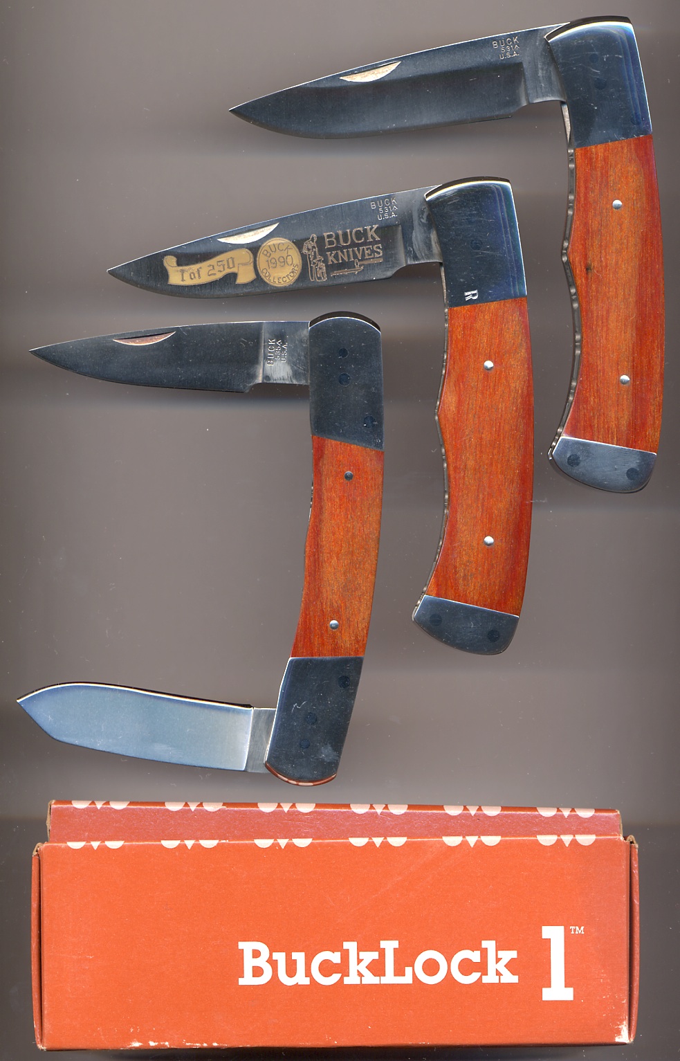 bucklock-x3-gs01.jpg