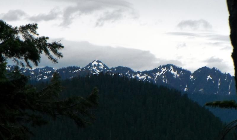 DSCF0715.jpg