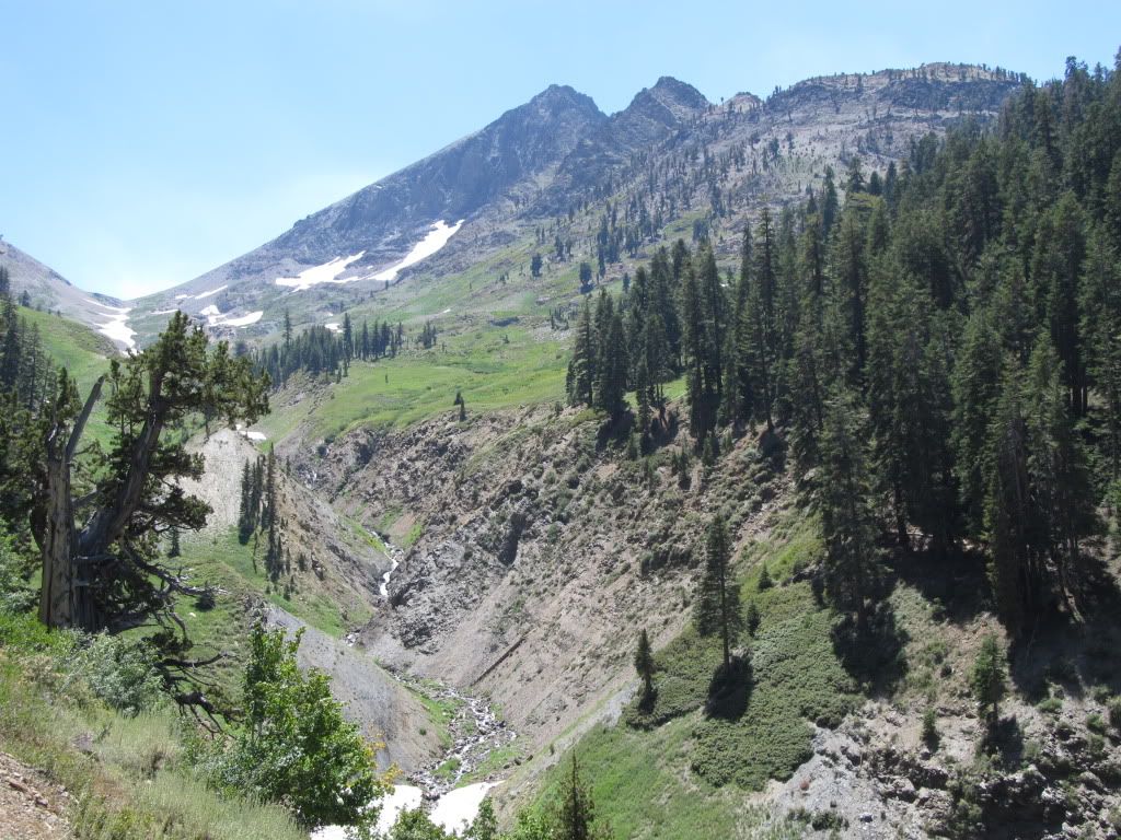 IMG_0547.jpg