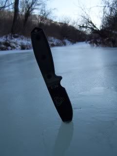 100_6693.jpg
