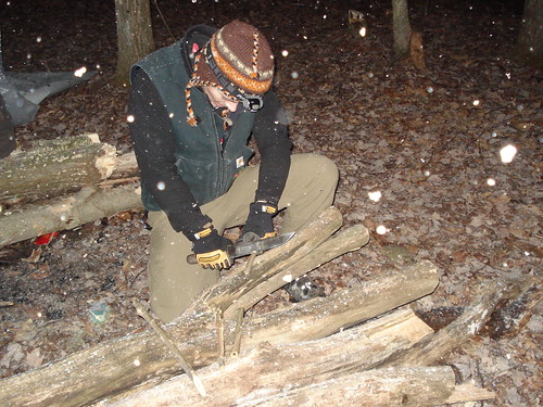 12011754343_ffbedd5f03.jpg
