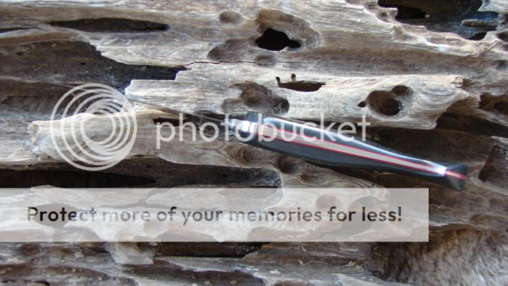 020_zps9296293f.jpg