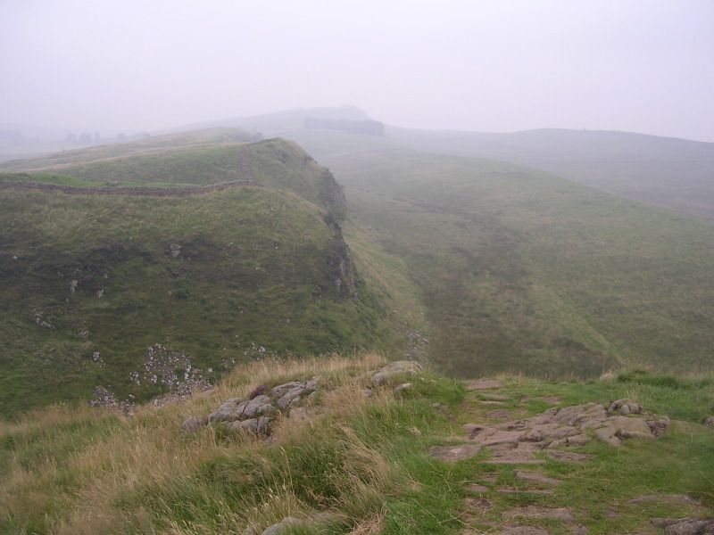 DSCN4475.jpg
