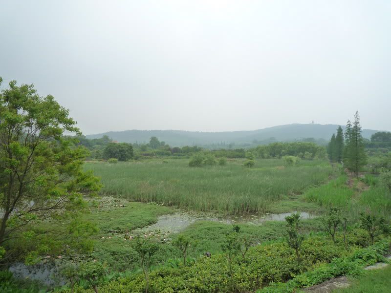 P1070062.jpg