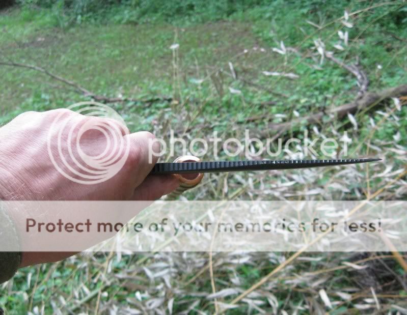 BambooProject-2A.jpg