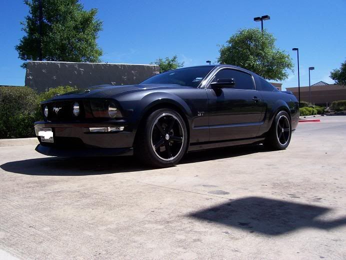 stang1.jpg