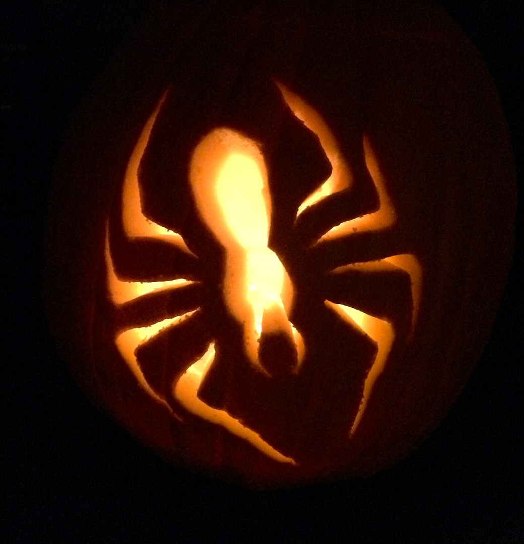 IMG_2656_zps3f2f5c65.png