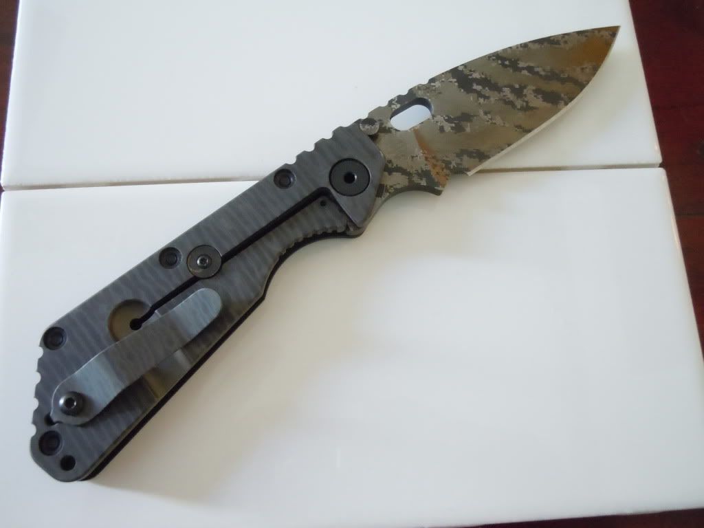 DSCN0529.jpg