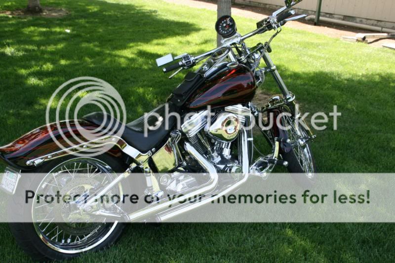 84Softail022.jpg