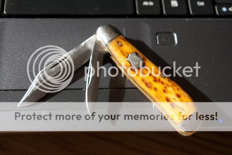IMGP5898_edited-1.jpg