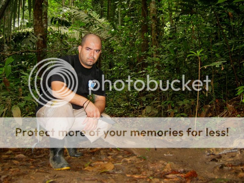 IMG_0991_zps5d559c4f.jpg
