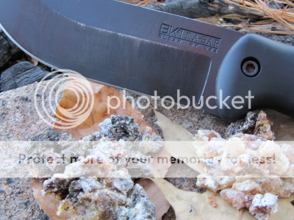 2ferropitch1.jpg