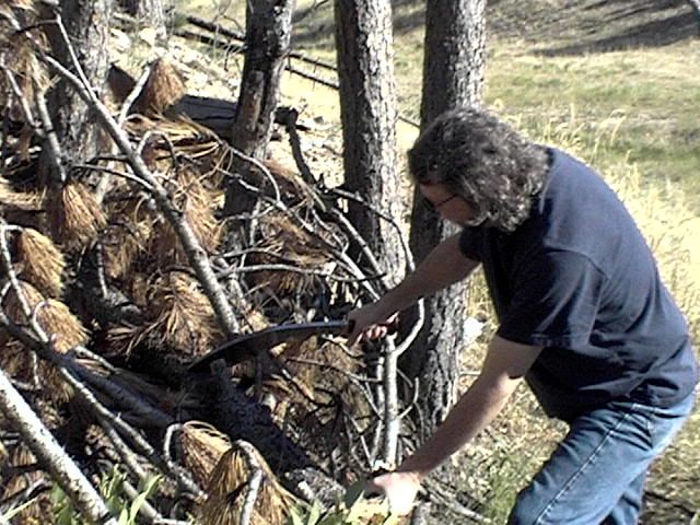 3Tarwar2logs002.jpg