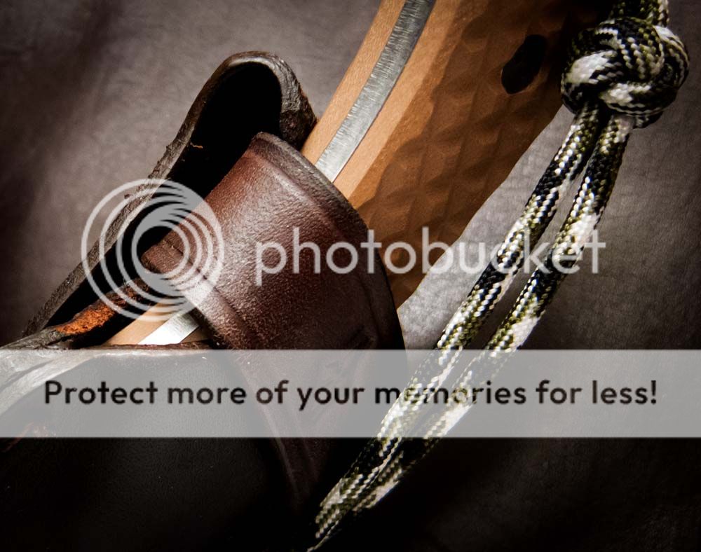Guardian4_strap_cutout.jpg~original