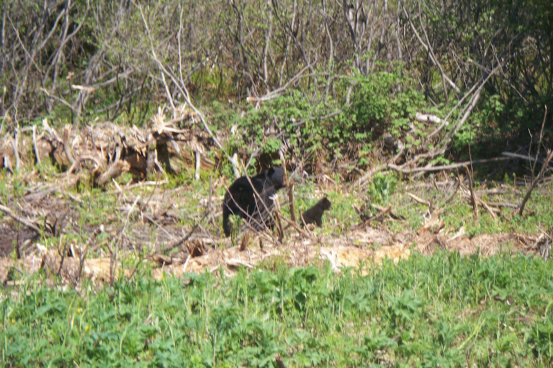 100_7932.JPG