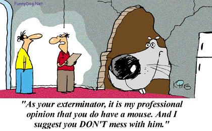 mouse-cartoon.jpg