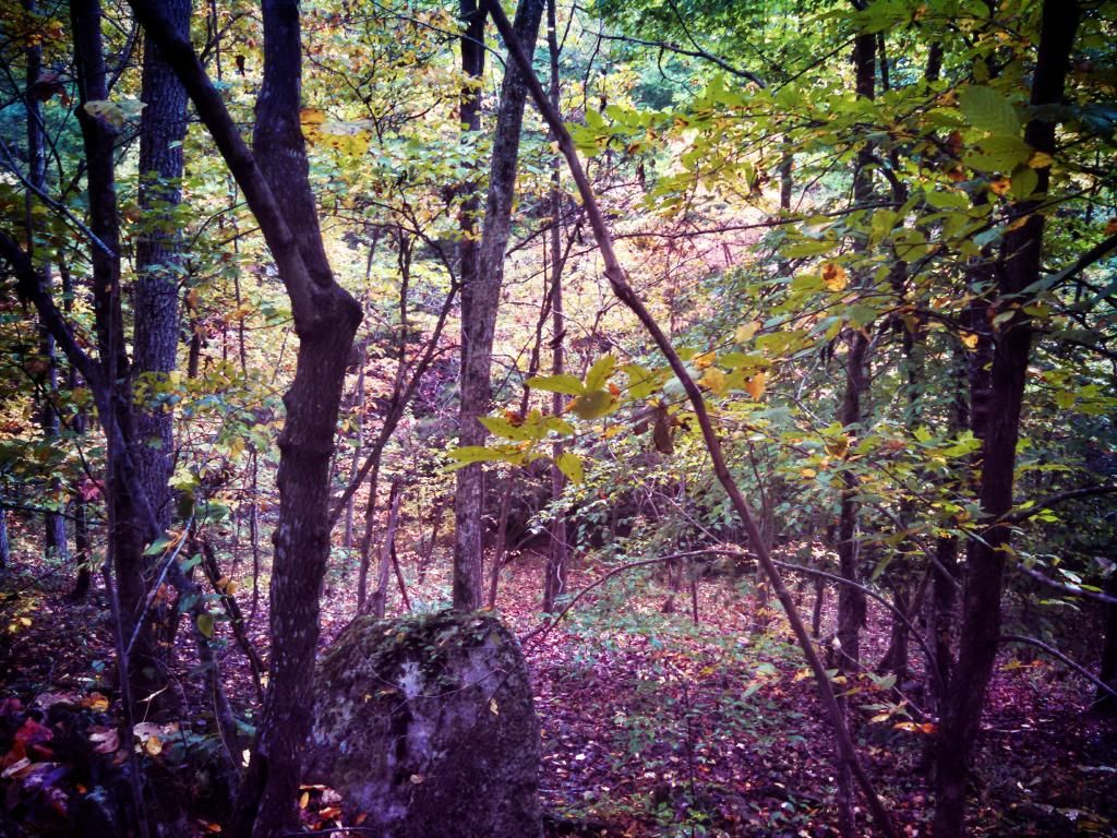 IMG_20141013_104846_9532.jpg