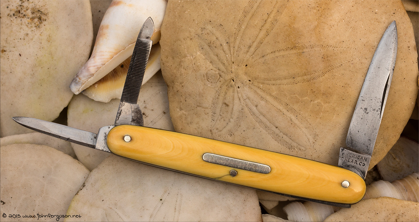 americanshearivorywhittler1.jpg