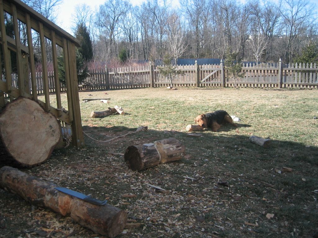 116_1620.jpg