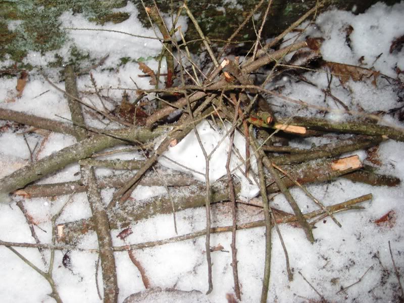 snow022.jpg