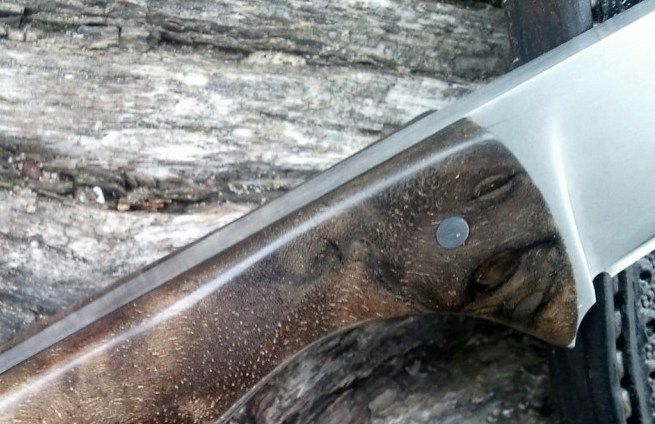 rightsidehandle.jpg