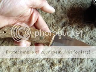 DSC00027-1.jpg