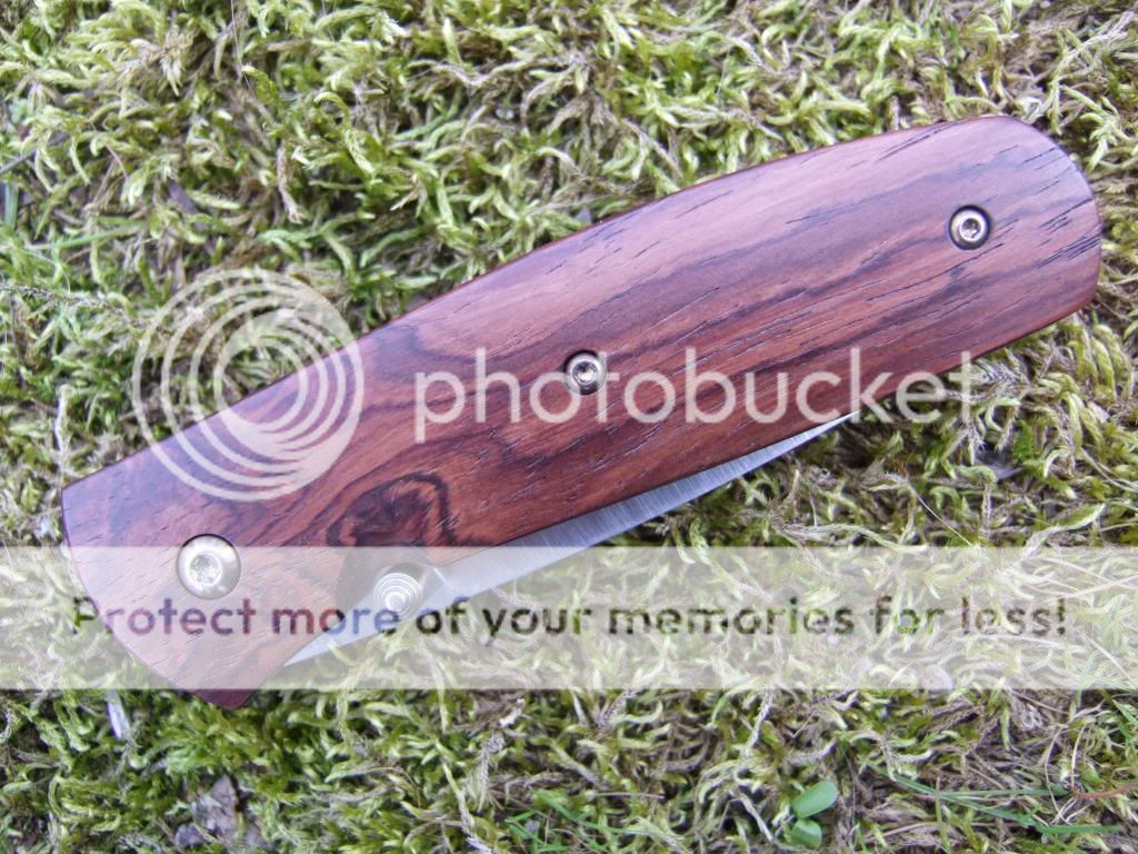 DSCF5114_zpsb9df692b.jpg~original