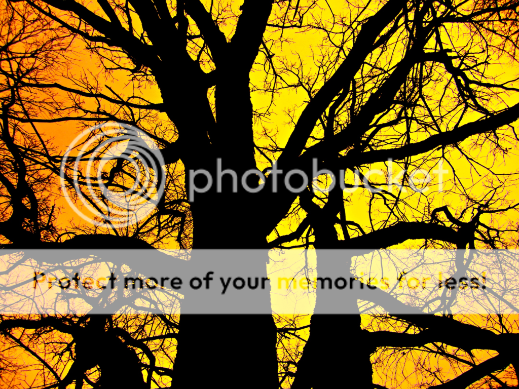 a77837d5.png